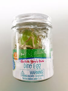 Hatch Your Own Dino Egg  Yellow/Green Egg